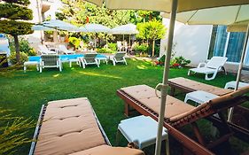 Guest House Butterfly Wing